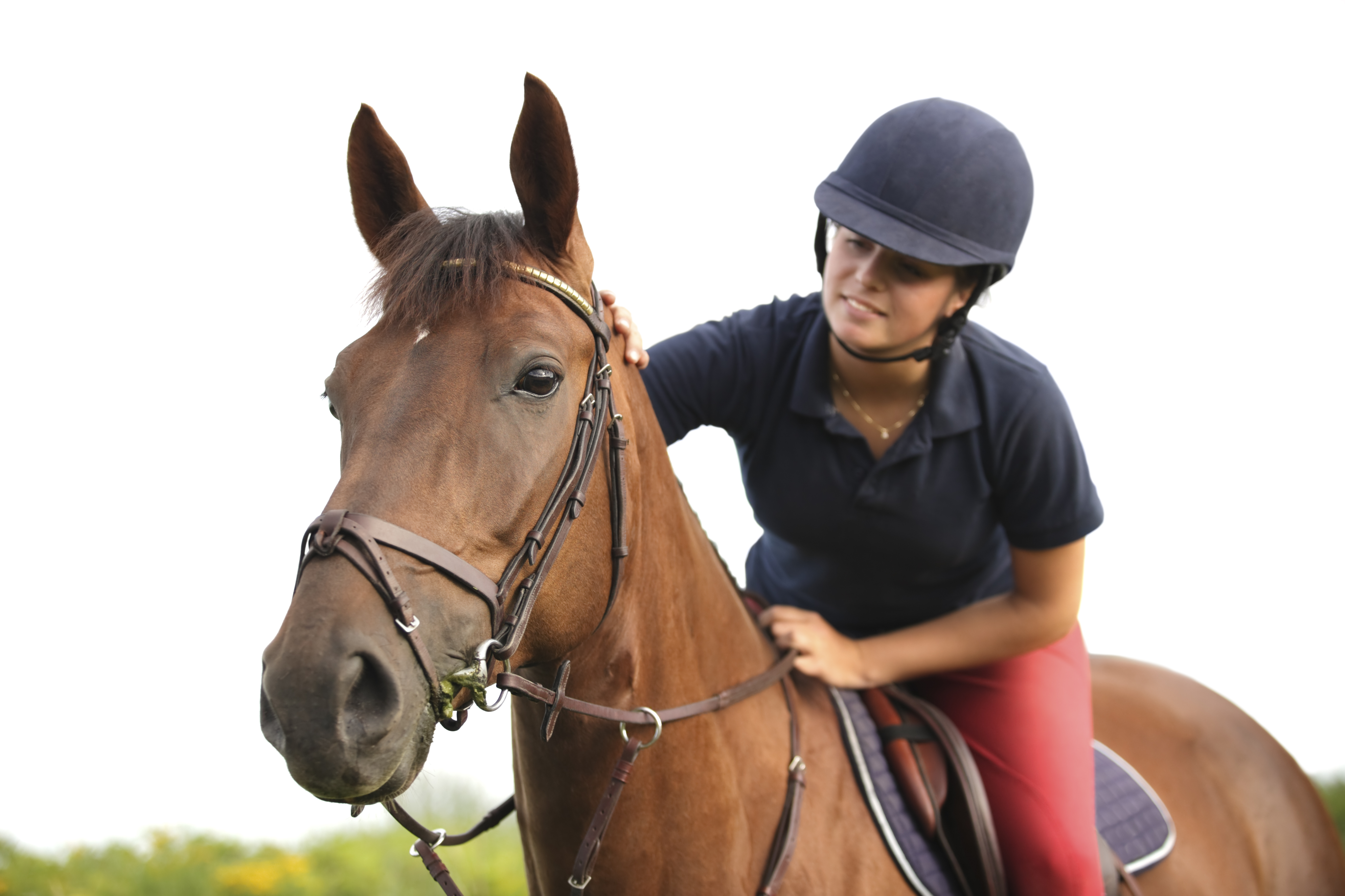 A rider patting her horse after exercise