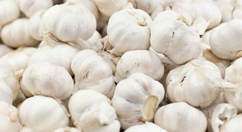 Many garlic cloves, which are sometimes fed to horses