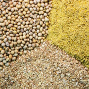 A variety of grains and horse feed ingredients