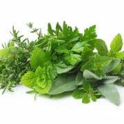 An image of many different green herbs together, which can potentially be included in a horse's diet