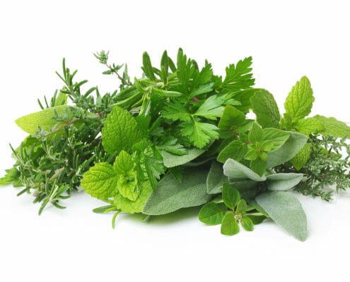 An image of many different green herbs together, which can potentially be included in a horse's diet