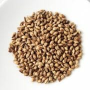 Barley, a cereal grain often fed to horses, in a bowl