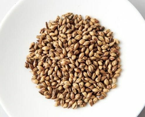 Barley, a cereal grain often fed to horses, in a bowl