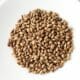 Barley, a cereal grain often fed to horses, in a bowl