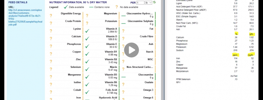 A screenshot of a video showing how to add custom forage analysis into FeedXL