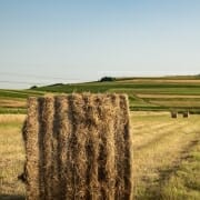 A large round bale of hay in a field