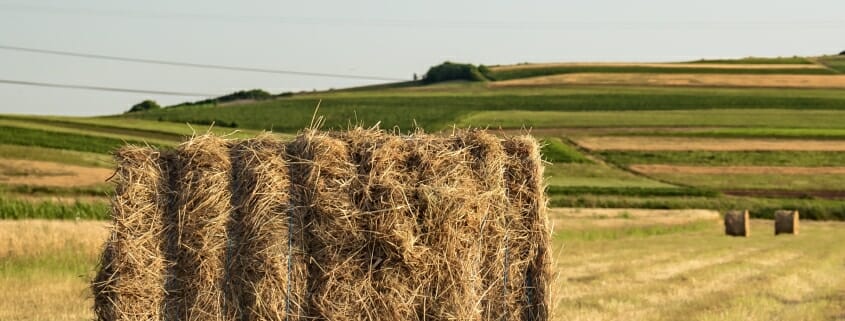 A large round bale of hay in a field