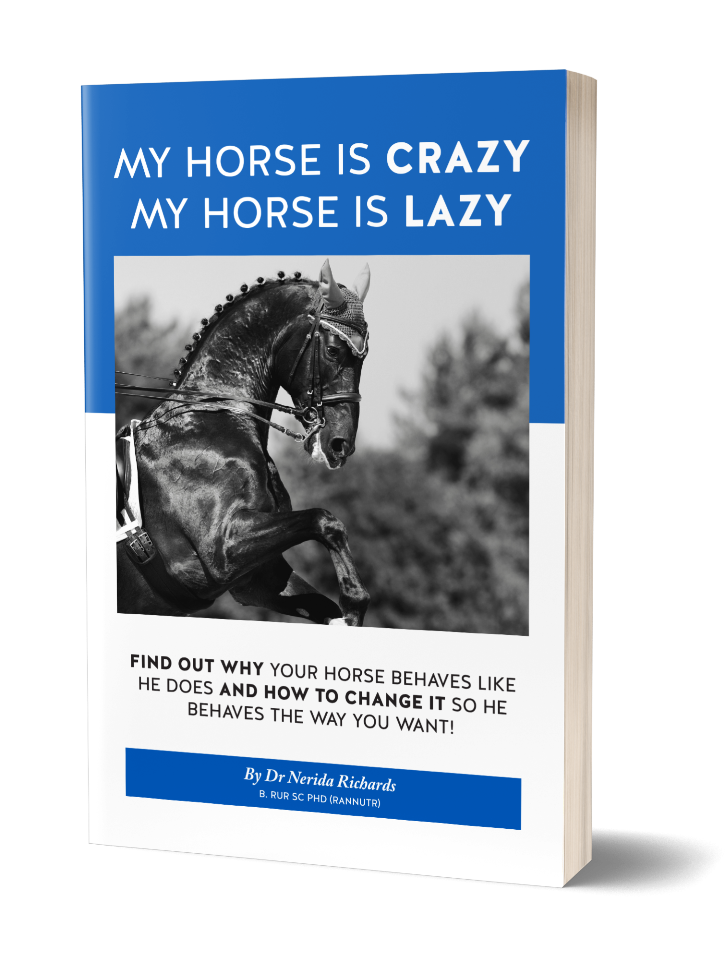 Crazy/Lazy ebook cover