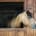 Horse looking out from his stable