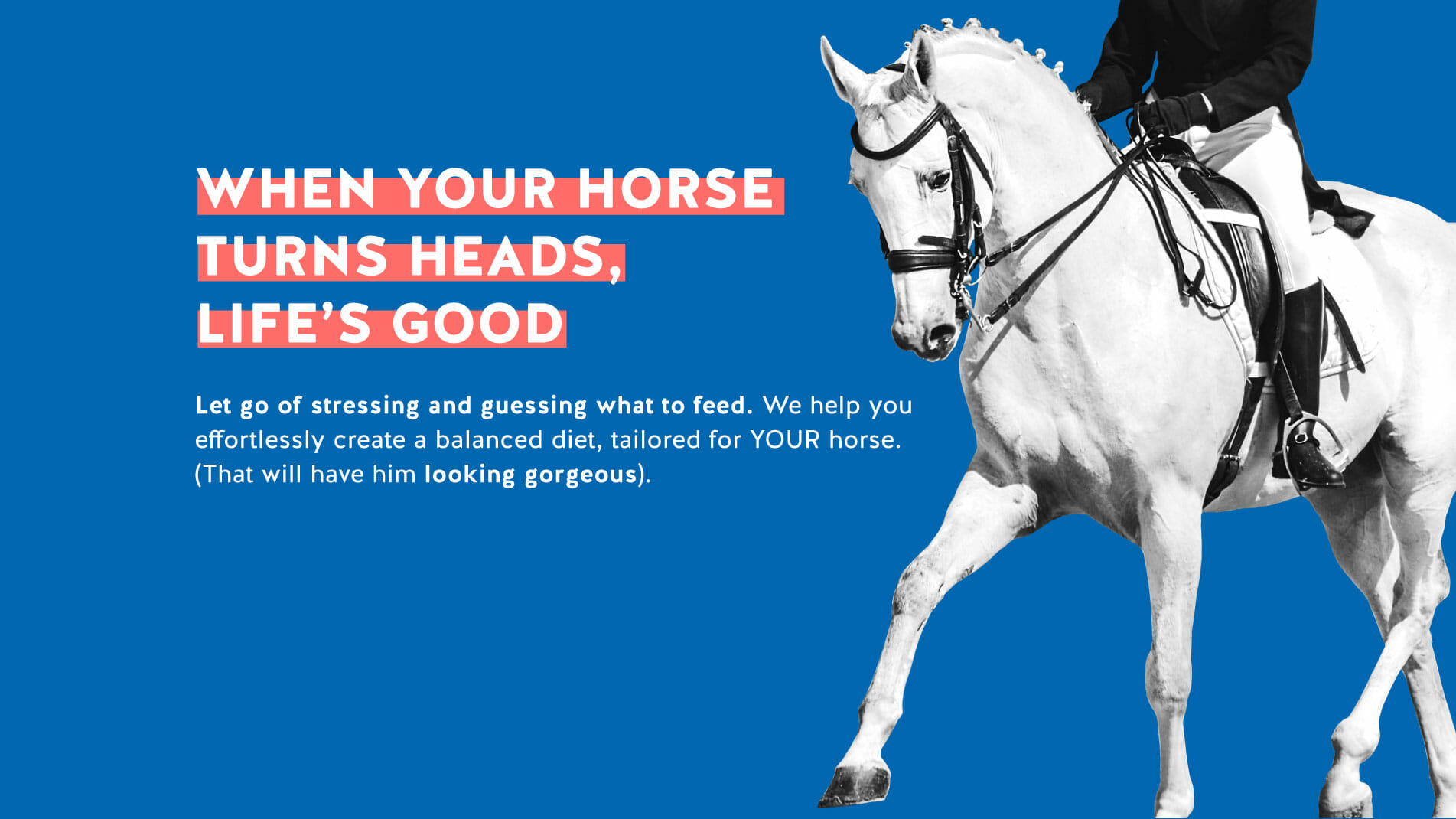 FeedXL Online Horse Nutrition Calculator