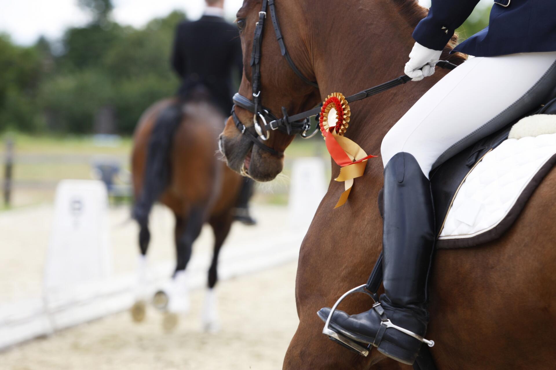 How to Check If Everything You've Entered into FeedXL Is Accurate