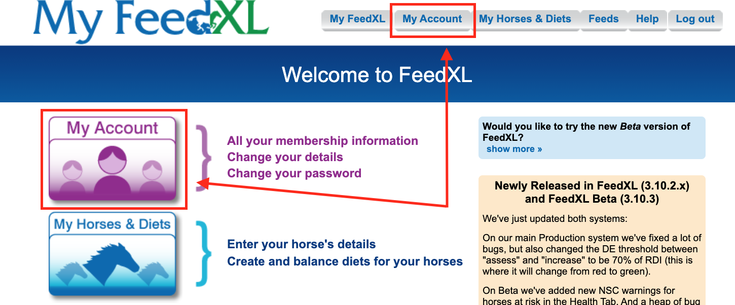 Image showing where to click on the FeedXL homepage to open the My Account page