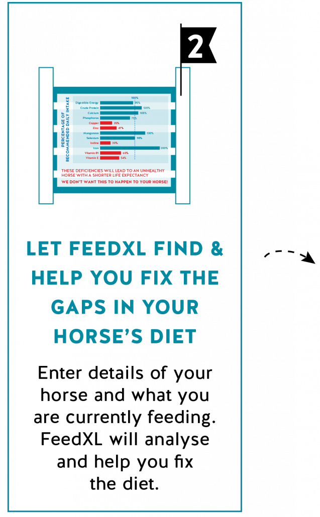FeedXL Online Horse Nutrition Calculator