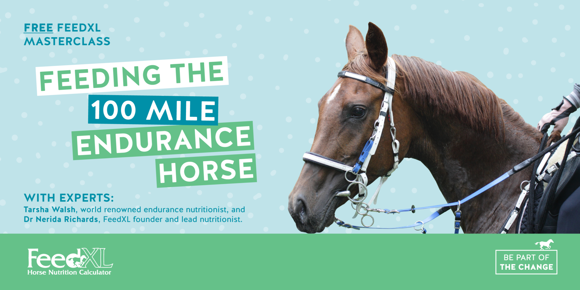 Free Masterclass Feeding the 100 Mile Endurance Horse