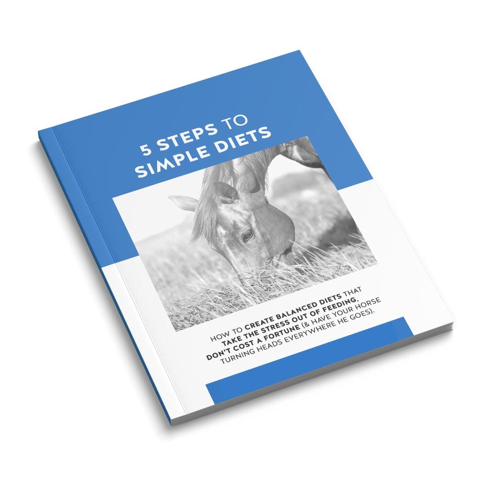 Ebook cover mockup - Feed XL - Simple Diets for Horses