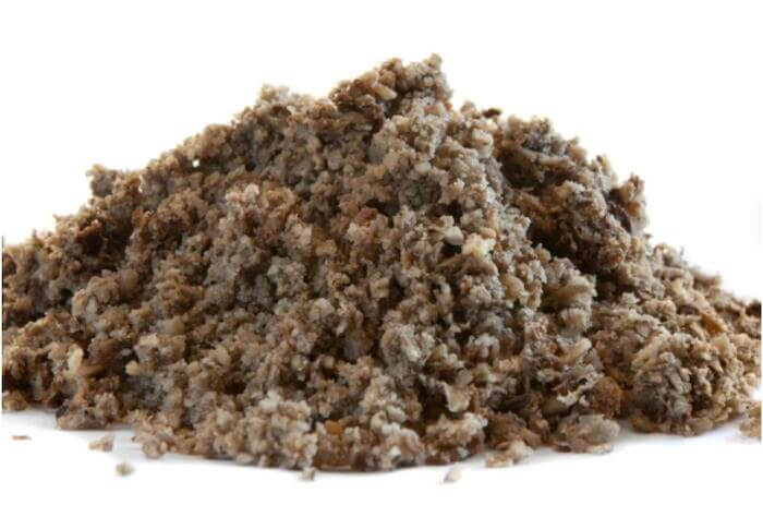 Horse eating forage &ndash; illustrating fibre sources